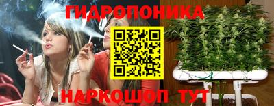 альфа пвп Гудермес