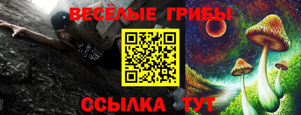 Вышний Волочёк  Псилоцибиновые грибы ЛСД  Вход с VPN 
