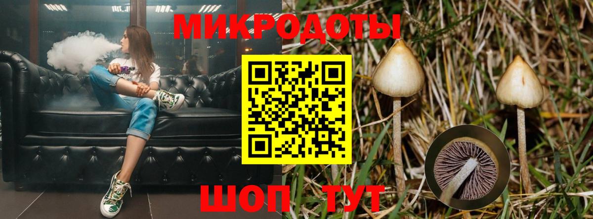 Псилоцибиновые грибы GOLDEN TEACHER Вышний Волочёк
